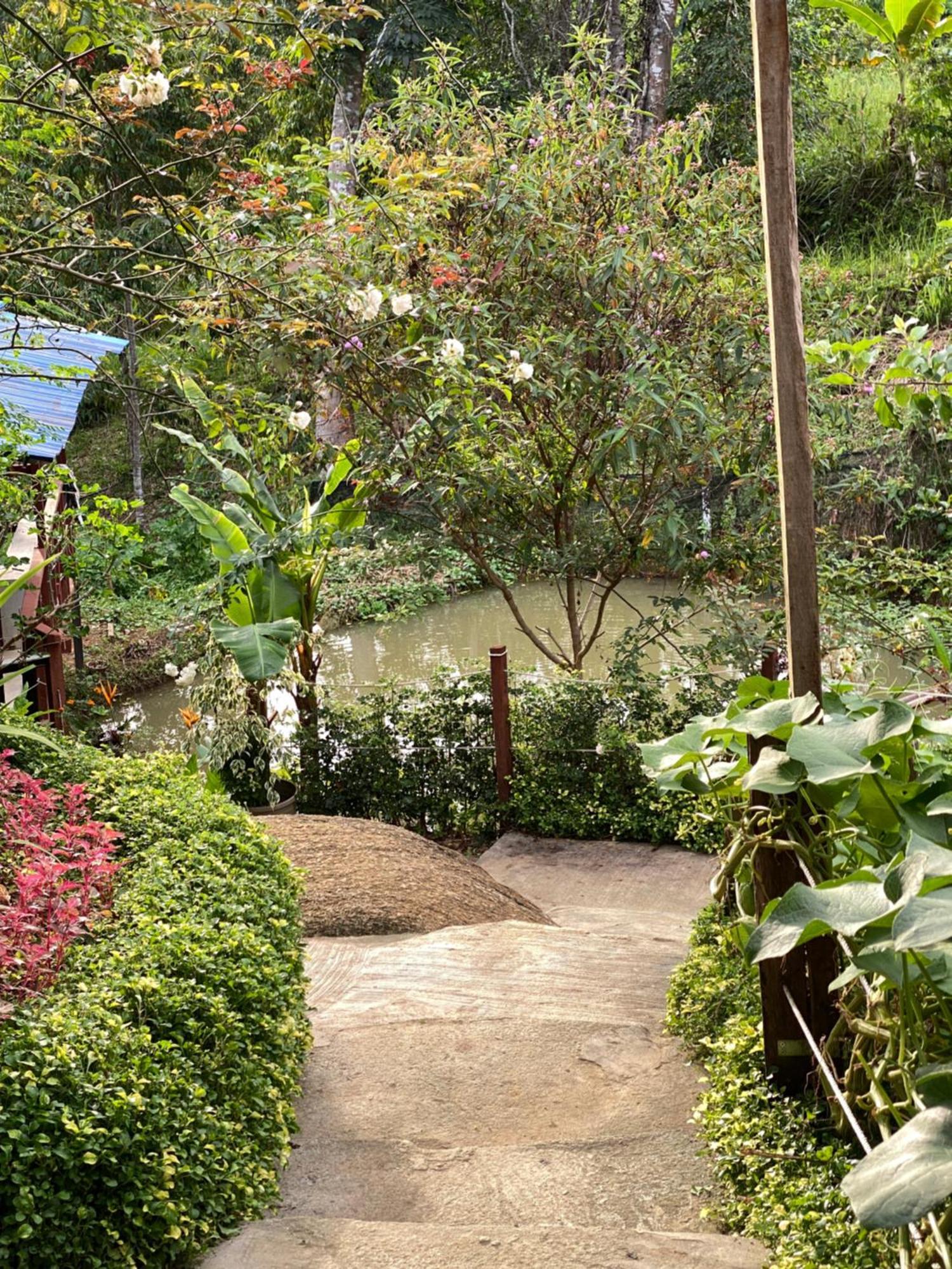 Hotel Da Family Mini Garden Ranau Exteriér fotografie